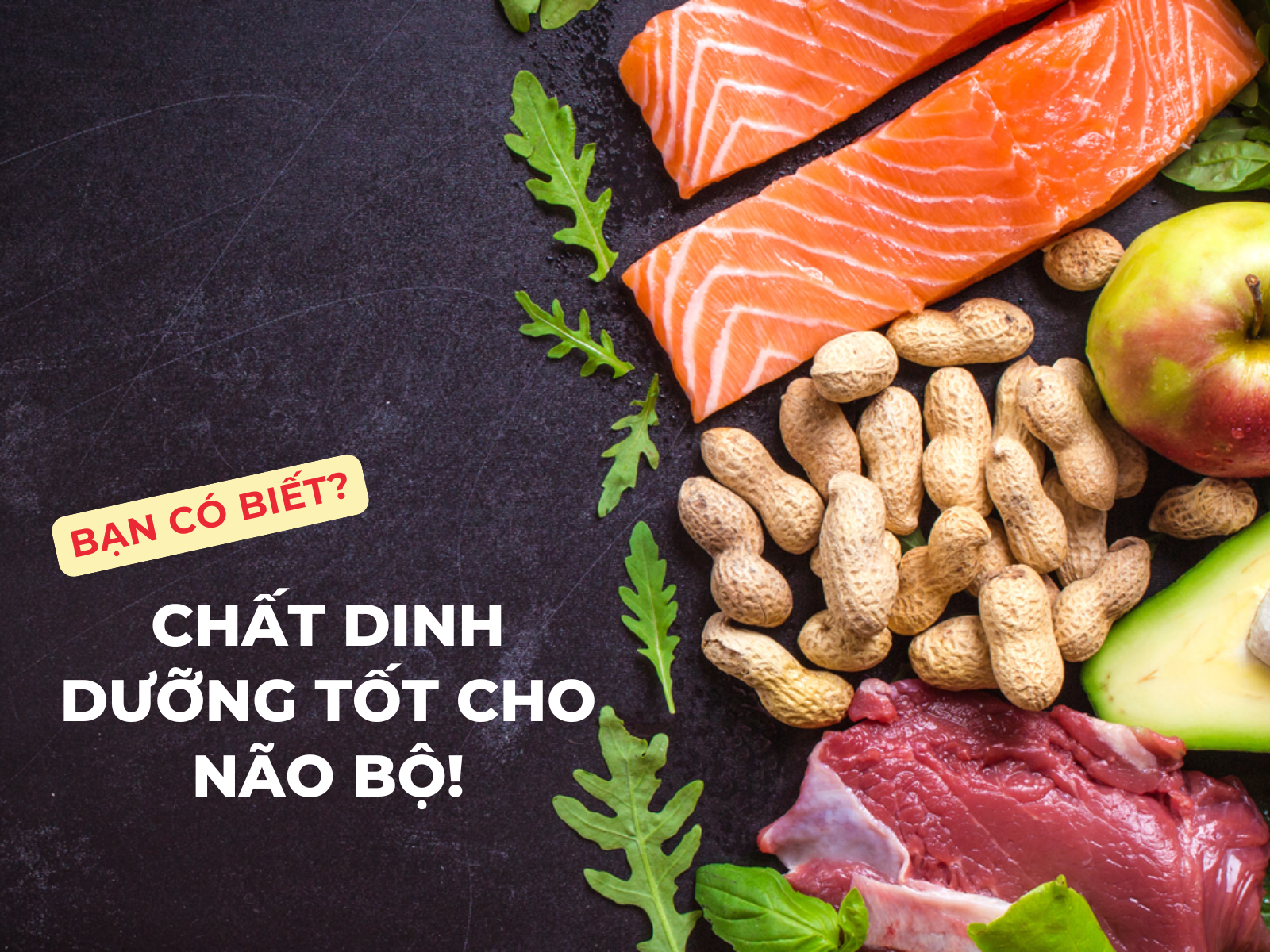 chất dinh dưỡng tốt cho não bộ