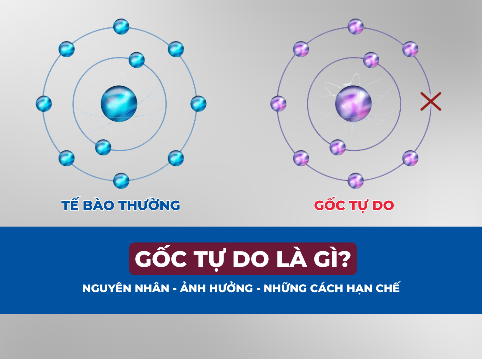 Gốc tự do