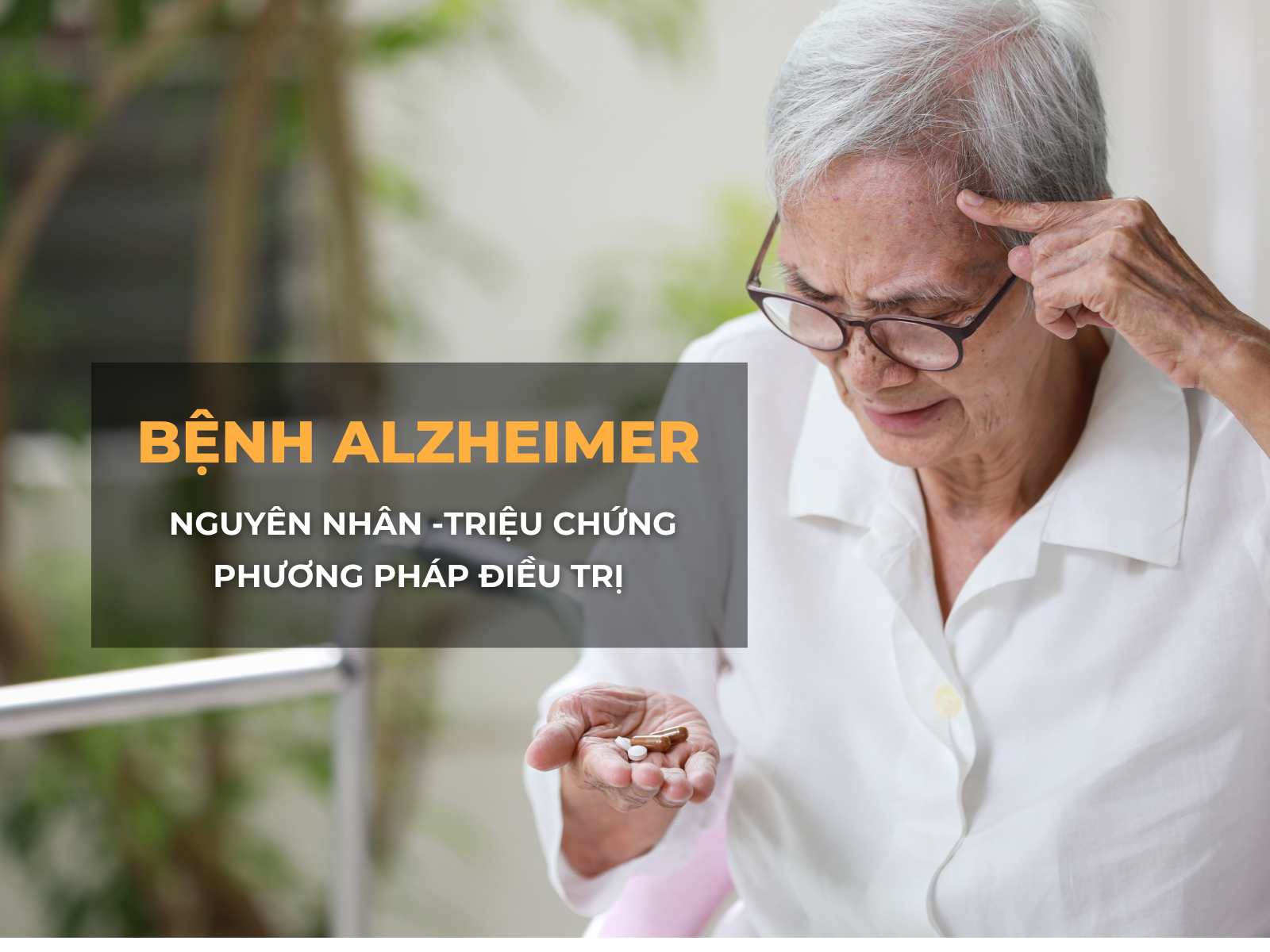 Bệnh Alzheimer