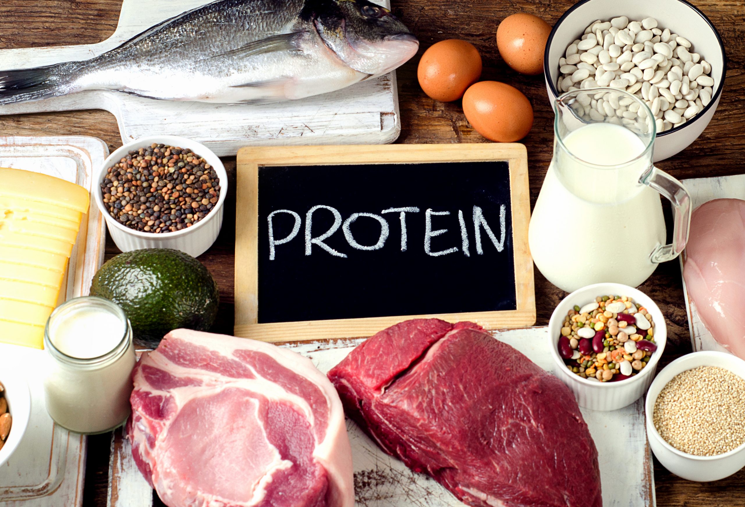 Protein