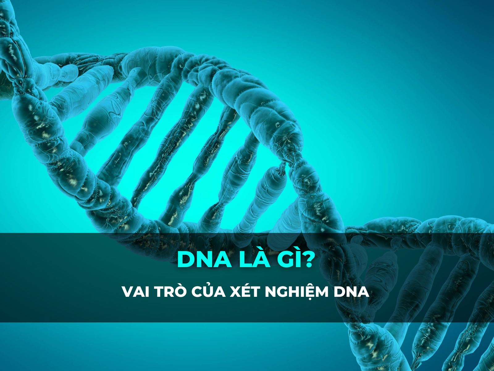 dna