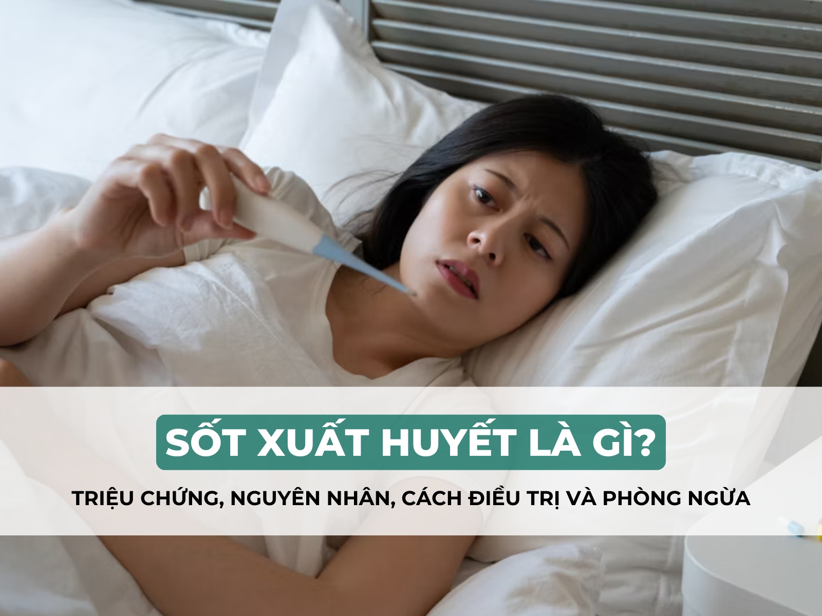 sốt xuất huyết là gì