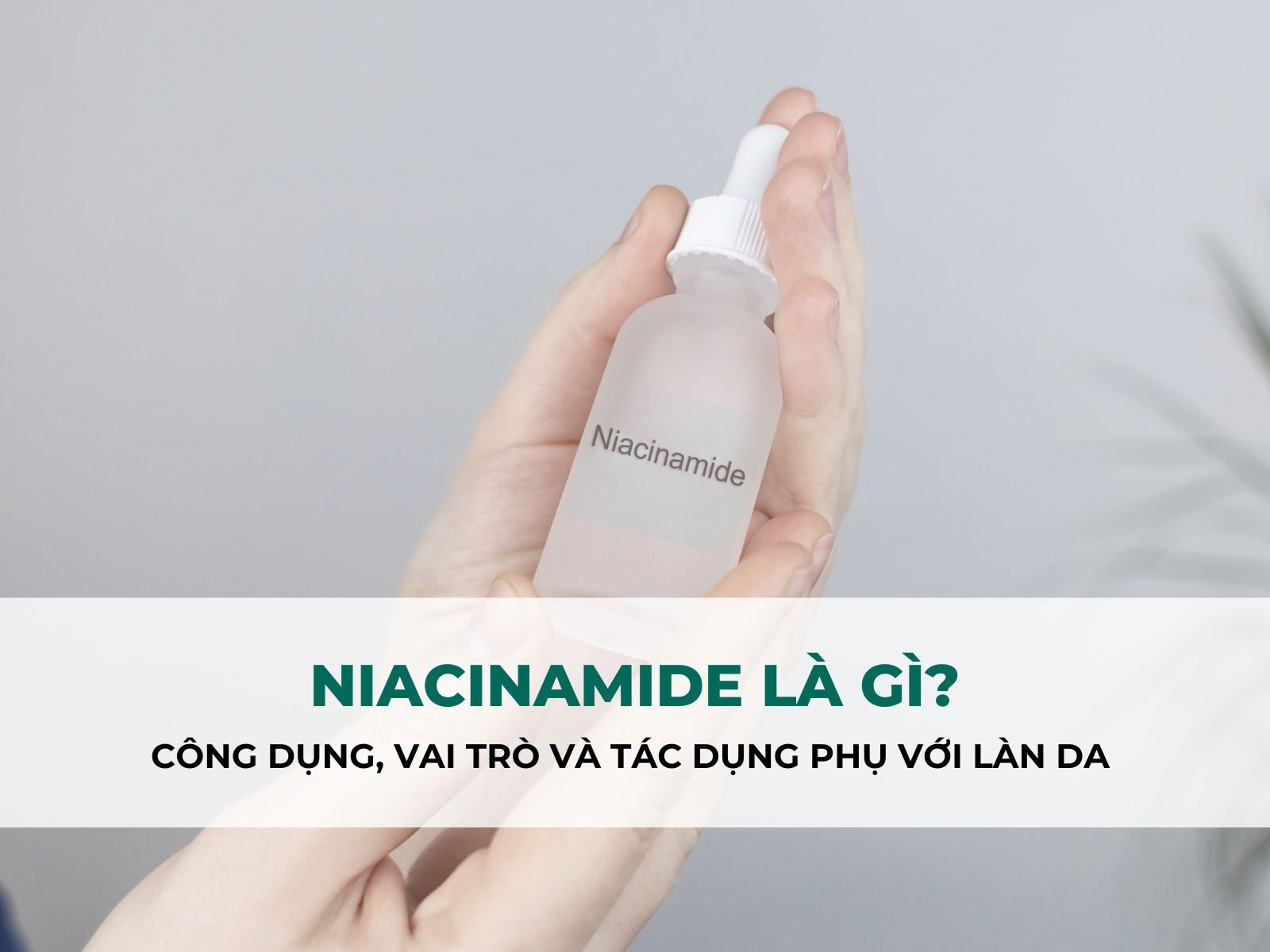 Niacinamide 