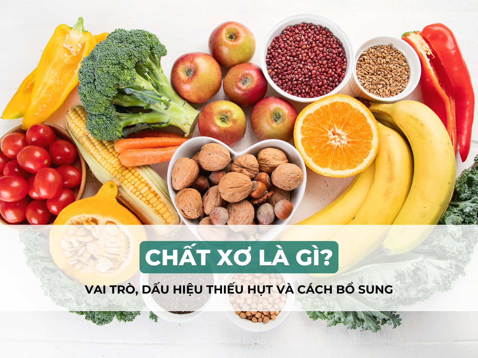 lợi ích chất xơ